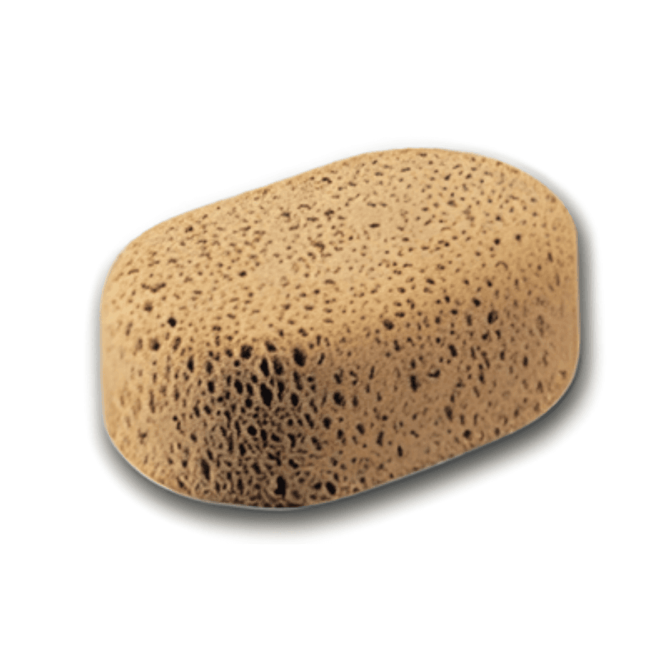 Éponge hydrophile